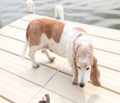 2015 July 04 SwensonLake 004